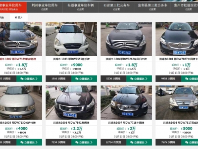 洪湖市第一批事业单位用车车改车辆网络竞价拍卖公告